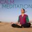 Artwork for Mindfulness Focus