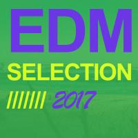 Artwork for EDM Selection 2017 by Various Artists