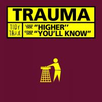 Artwork for Higher by Trauma