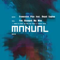 Artwork for You Changed My Way by Francesco Pico