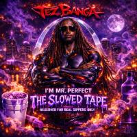 Artwork for I'M MR. PERFECT (THE SLOWED TAPE) by Tez Banga