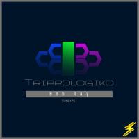 Artwork for Trippologiko by Bob Ray