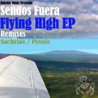 Artwork for Flying High by Sendos Fuera