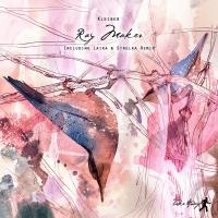 Artwork for Ray Maker by Kleiber
