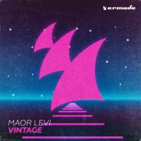Artwork for Vintage by Maor Levi