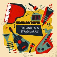 Artwork for Never Say Never by Luciano FM