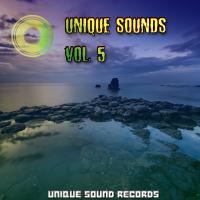 Artwork for Unique Sounds, Vol. 5 by Various Artists