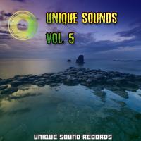 Artwork for Unique Sounds, Vol. 5 by Various Artists