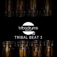 Artwork for Tribal Beat 3 by Plastikbeat