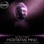 Artwork for Meditative Mind (Perpetual Present Remix)
