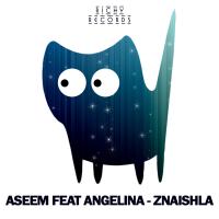 Artwork for Znaishla by Aseem
