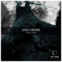 Artwork for Only One by Josu Freire