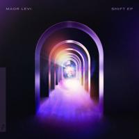 Artwork for Shift EP by Maor Levi