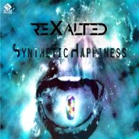 Artwork for Synthetic Happiness by Rexalted