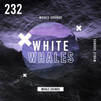 Artwork for White Whales by Whale Sounds