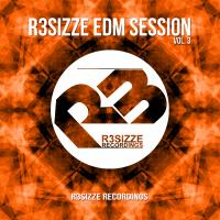 Artwork for R3sizze EDM Session, Vol. 3 by Various Artists