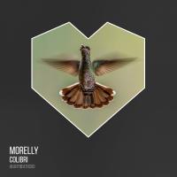 Artwork for Colibri by Morelly