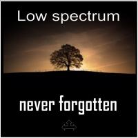 Artwork for Never Forgotten by Low Spectrum