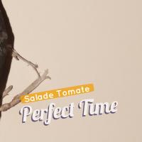 Artwork for Perfect Time by Salade Tomate