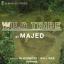 Artwork for Wild Tribe (Blocknote Remix)