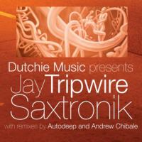 Artwork for Saxtronik by Jay Tripwire