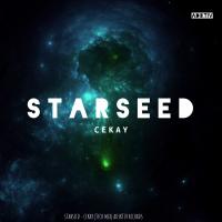 Artwork for Starseed (Tech Mix) by Cekay Pellegrini