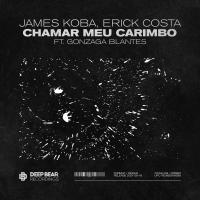 Artwork for Chamar Meu Carimbo (feat. Gonzaga Blantes) by James Koba