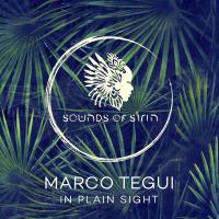 Artwork for In Plain Sight by Marco Tegui