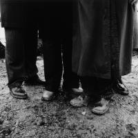 Artwork for Part Of The Band by The 1975