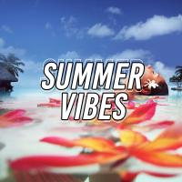 Artwork for Summer Vibes by Techno House