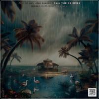 Artwork for Rain THE REMIXES by Alex Gamez