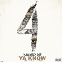 Artwork for Ya Know by Yung Rich Dee