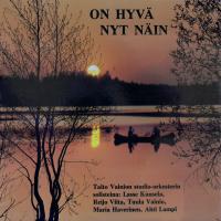 Artwork for On Hyvä Nyt Näin by Various Artists