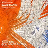 Artwork for Breaking Cycles by David Manso