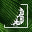 Artwork for Jungle (Extended Mix)