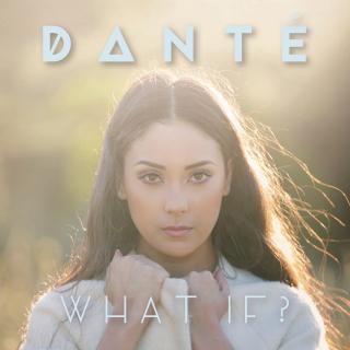 Artwork for Fire Starter