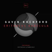 Artwork for Erithacus Rubecula by Gavin Rochford