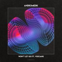 Artwork for Won't Let Go by Andromedik