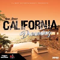 Artwork for California Dreaming by Brio Braze