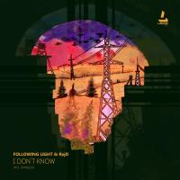 Artwork for I Don't Know by Following Light