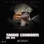 Artwork for Snake Charmer