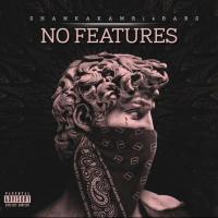 Artwork for No Features by Shank