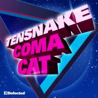 Artwork for Coma Cat by Tensnake