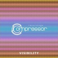Artwork for Visibility by Various Artists