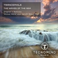 Artwork for The Waves Of The Sea by Trancephile