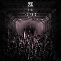 Artwork for 2szer by Tosi