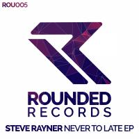 Artwork for Never Too Late by Steve Rayner