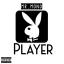 Artwork for Player
