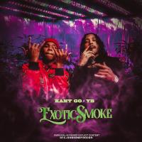 Artwork for Exotic Smoke by Kant Go