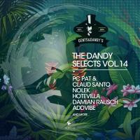 Artwork for The Dandy Selects, Vol. 14 by Various Artists